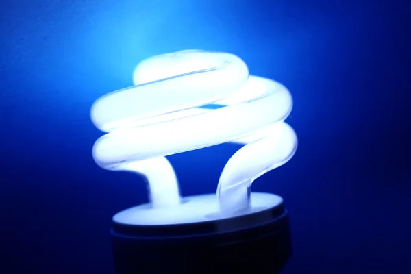 CFL žárovky — Stock fotografie