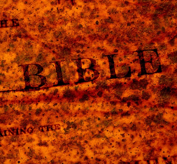 Holy Bible — Stock Photo, Image