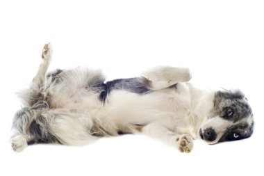 kenar kömür ocağı