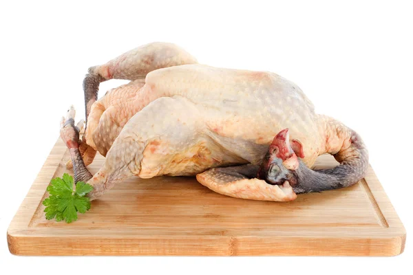 Guinea fowl — Stock Photo, Image