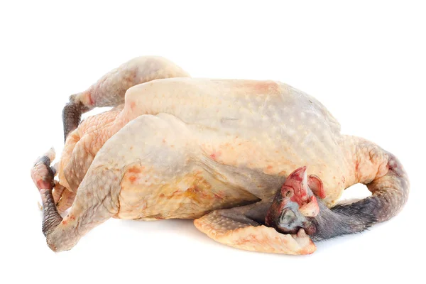 Guinea fowl — Stock Image Guinea fowl Royalty Free Stock Images