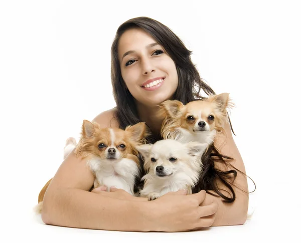 Fille et chihuahuas — Photo