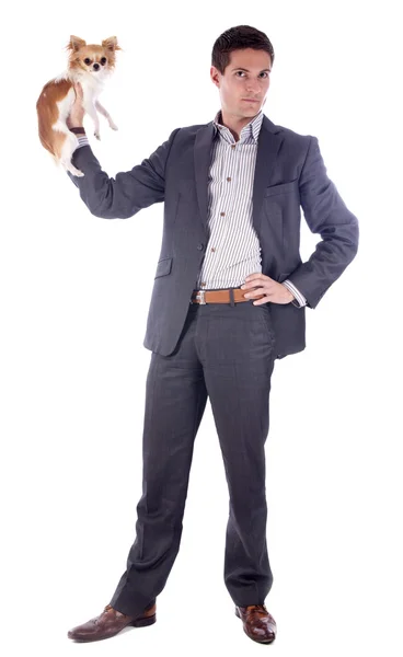 Business man and chihuahua — Stock Photo, Image