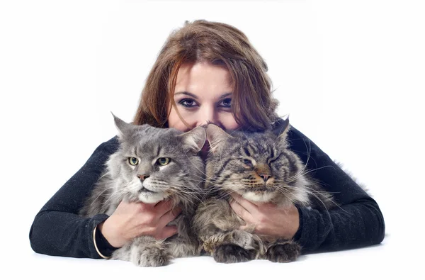 Maine coon cats and woman — Stock Photo, Image