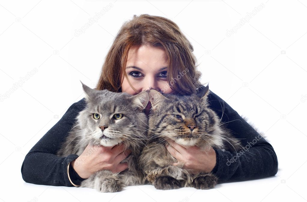 Maine coon cats and woman