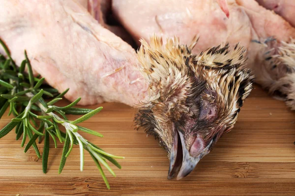 Quail and rosemary — Stock Photo, Image