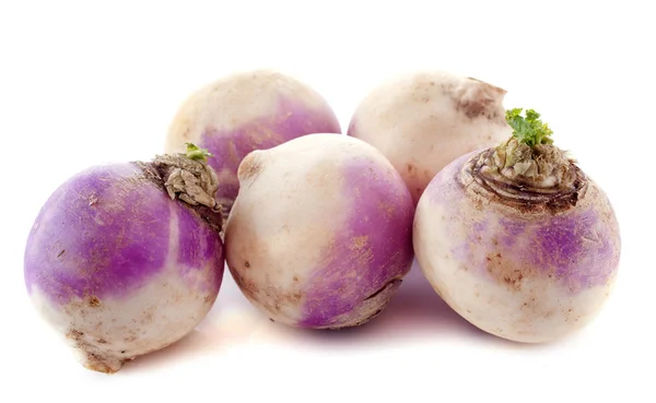 Freshly turnips — Stock Photo, Image