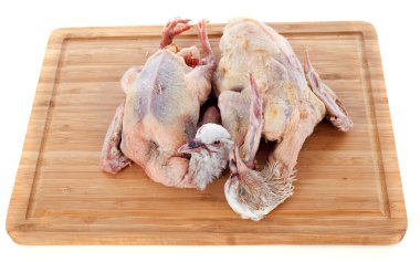pigeon meat clipart