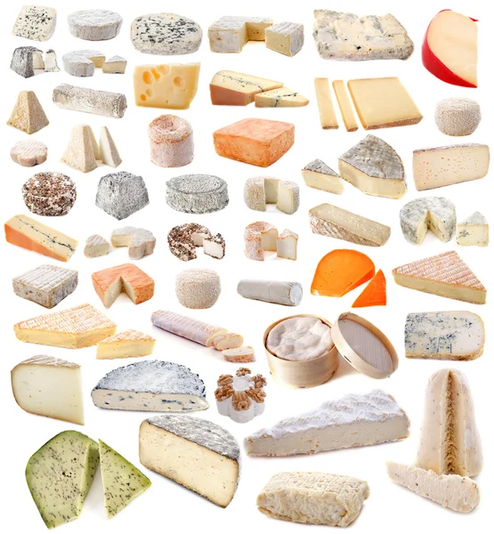 Çeşitli peynirler — Stok fotoğraf