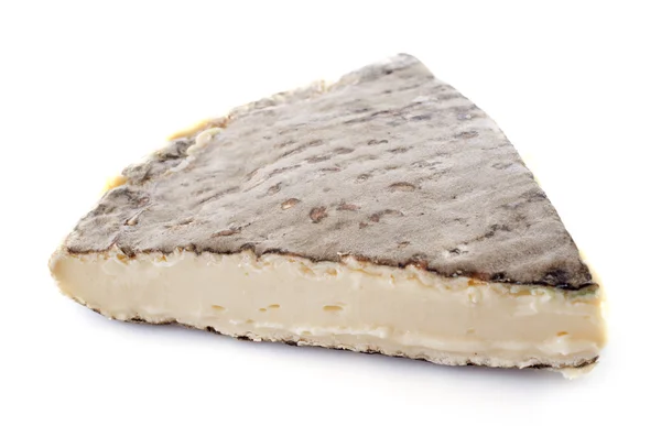 Старый сыр Сен-Нектер — стоковое фото