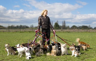 Oturan Köpek