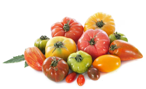 Varieties of tomatoes — Stock Photo, Image