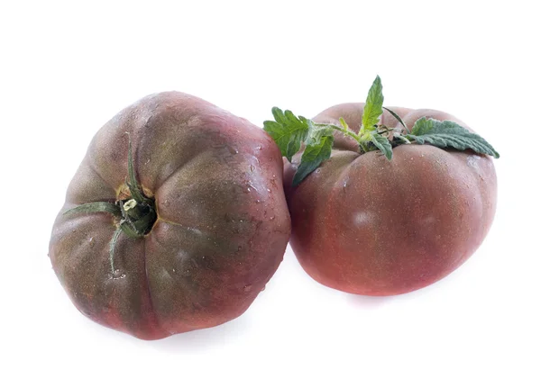 Schwarze Krim-Tomate — Stockfoto