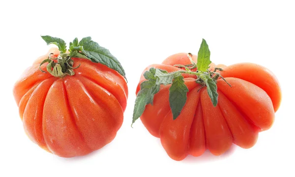 Tomates de bife — Fotografia de Stock