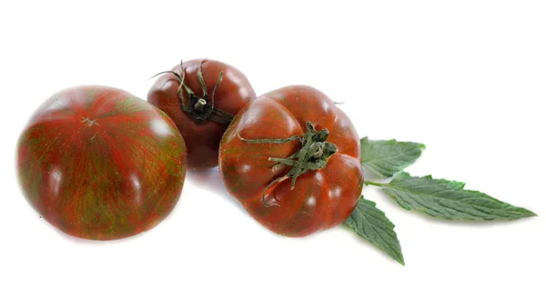 黒い krim トマト — ストック写真