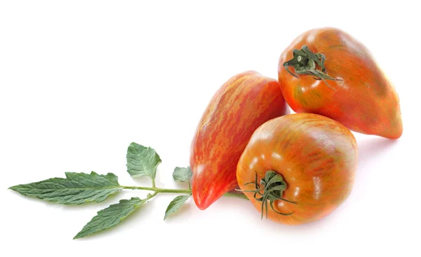 San Marzano tomatoes — Stock Photo, Image