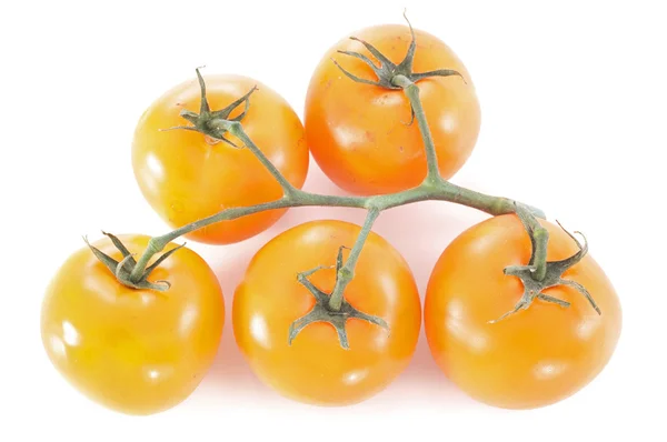 Oranžový rajčata — Stock fotografie