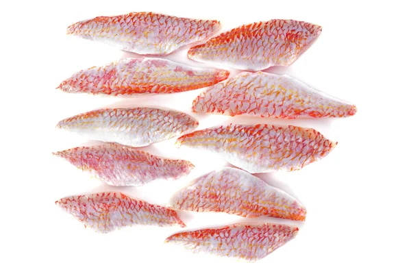 Filety z goatfish — Stock fotografie