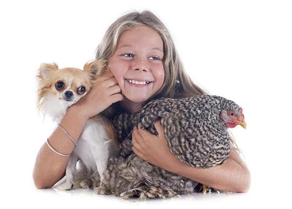 Child, dog and chicken — Stock Photo, Image