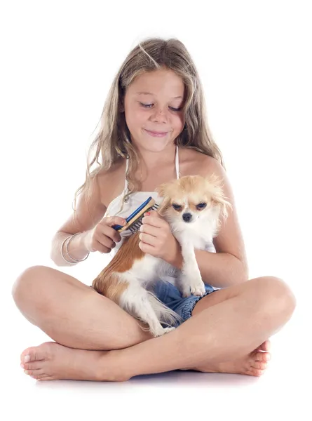 Child and chihuahua — Stock Photo, Image