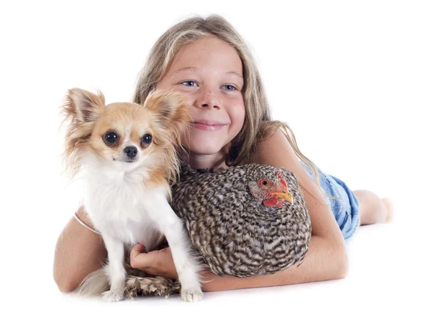 Lapsi, koira ja kana — kuvapankkivalokuva