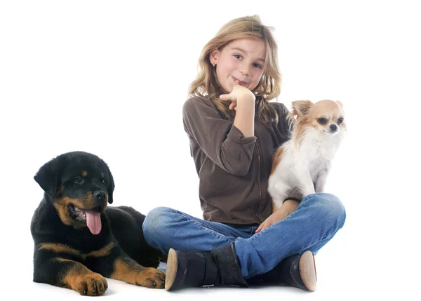 Criança e cães — Fotografia de Stock