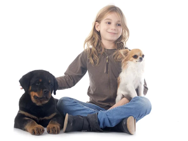 Criança e cães — Fotografia de Stock