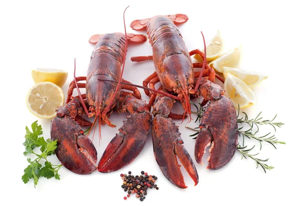 Lobsters — Stock Photo, Image