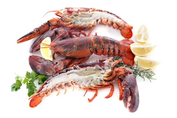 Lobsters — Stock Photo, Image