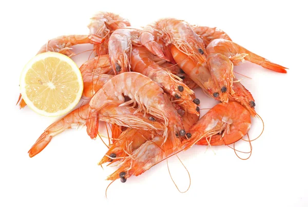 Gambas comunes —  Fotos de Stock