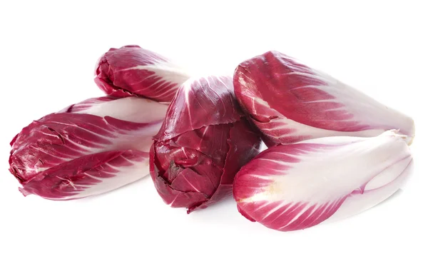 Chicory carmine — Stock Photo, Image