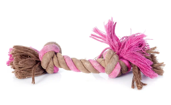 Dog toy — Stock Photo, Image