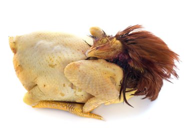 kısırlaştırılmış horoz