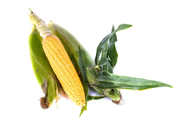 Солодка Кукурудза Перед Білим Тлом — стокове фото