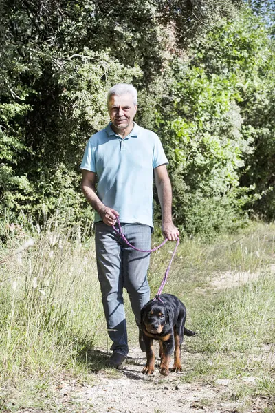 Cachorro Rottweiler Propietario Naturaleza Otoño —  Fotos de Stock