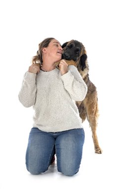Genç Leonberger ve beyaz arkaplan sahibi