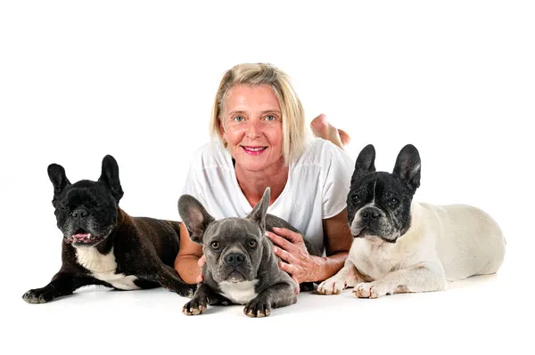 Franse Bulldogs Vrouw Voorkant Van Witte Achtergrond — Stockfoto