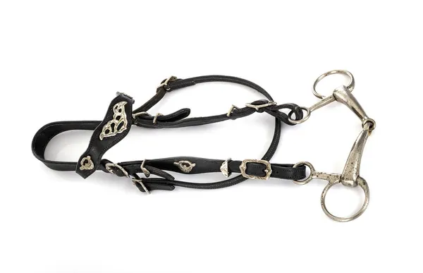 Brida Snaffle Delante Fondo Blanco — Foto de Stock