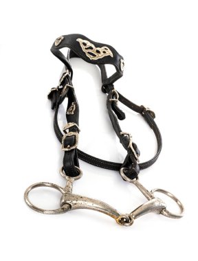 Beyaz arkaplan önünde snaffle dizgini