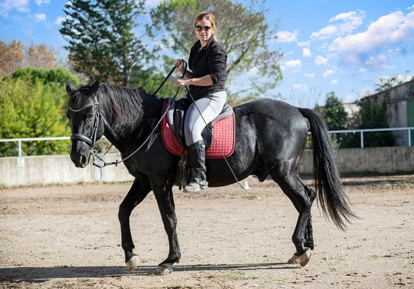 乗馬の女の子は黒い馬を訓練しています — ストック写真