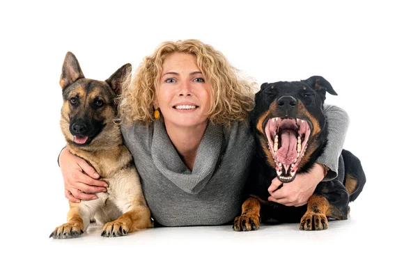 Woman Gray German Shepherd Beauceron Front White Background — Stockfoto