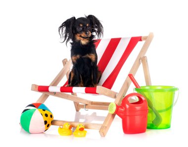 Russkiy Oyuncak beyaz arkaplan önünde