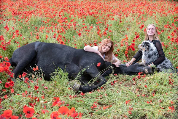 Koni Dívky Trénují Svého Černého Koně — Stock fotografie