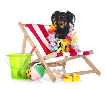 Russkiy Oyuncak beyaz arkaplan önünde