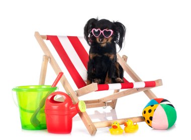 Russkiy Oyuncak beyaz arkaplan önünde