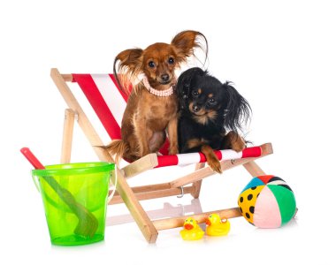 Beyaz arkaplan önünde Russkiy Oyuncakları