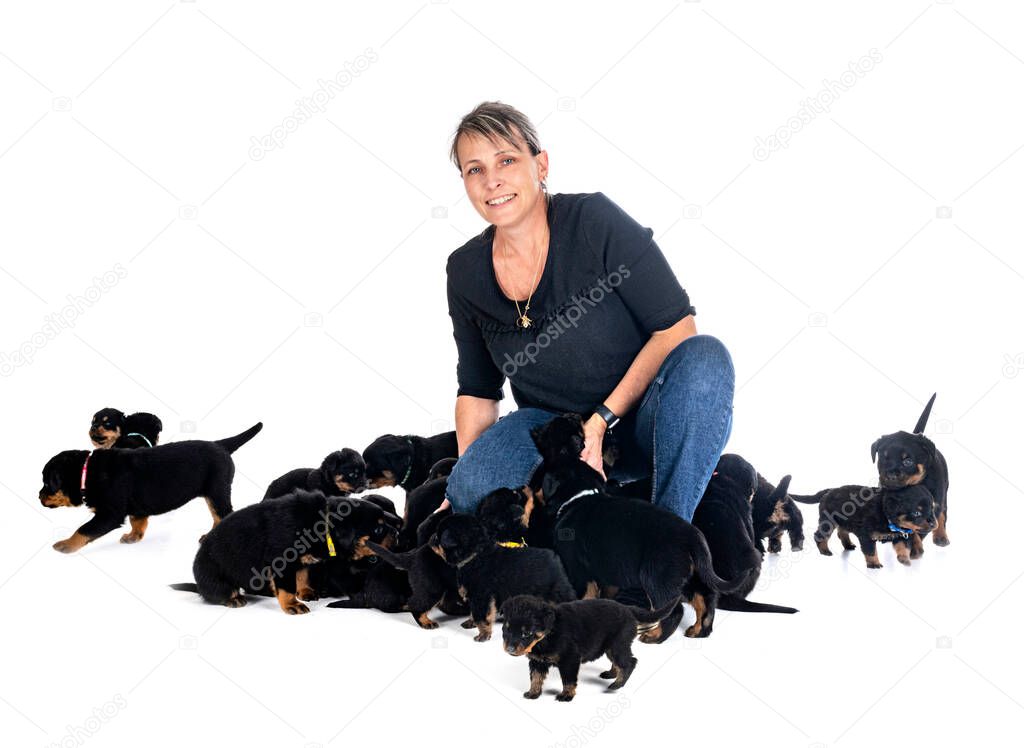 puppies rottweiler and breeder in front of white background