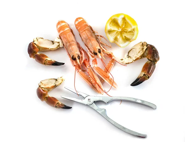 Langoustines Frescos Estúdio — Fotografia de Stock