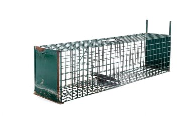 beyaz arkaplanın önündeki kafes