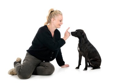 Stamfordshire Boğa Teriyeri piçi ve beyaz arka planda sahibi.